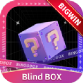 宾果盲盒.1