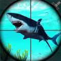 鲨鱼猎手3D.1