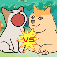 波波猫vs柴犬.1