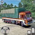 印度重型卡车运输车.1