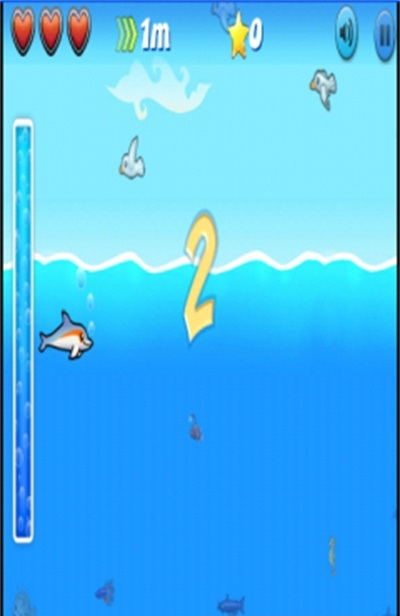 跳跃海豚大冒险