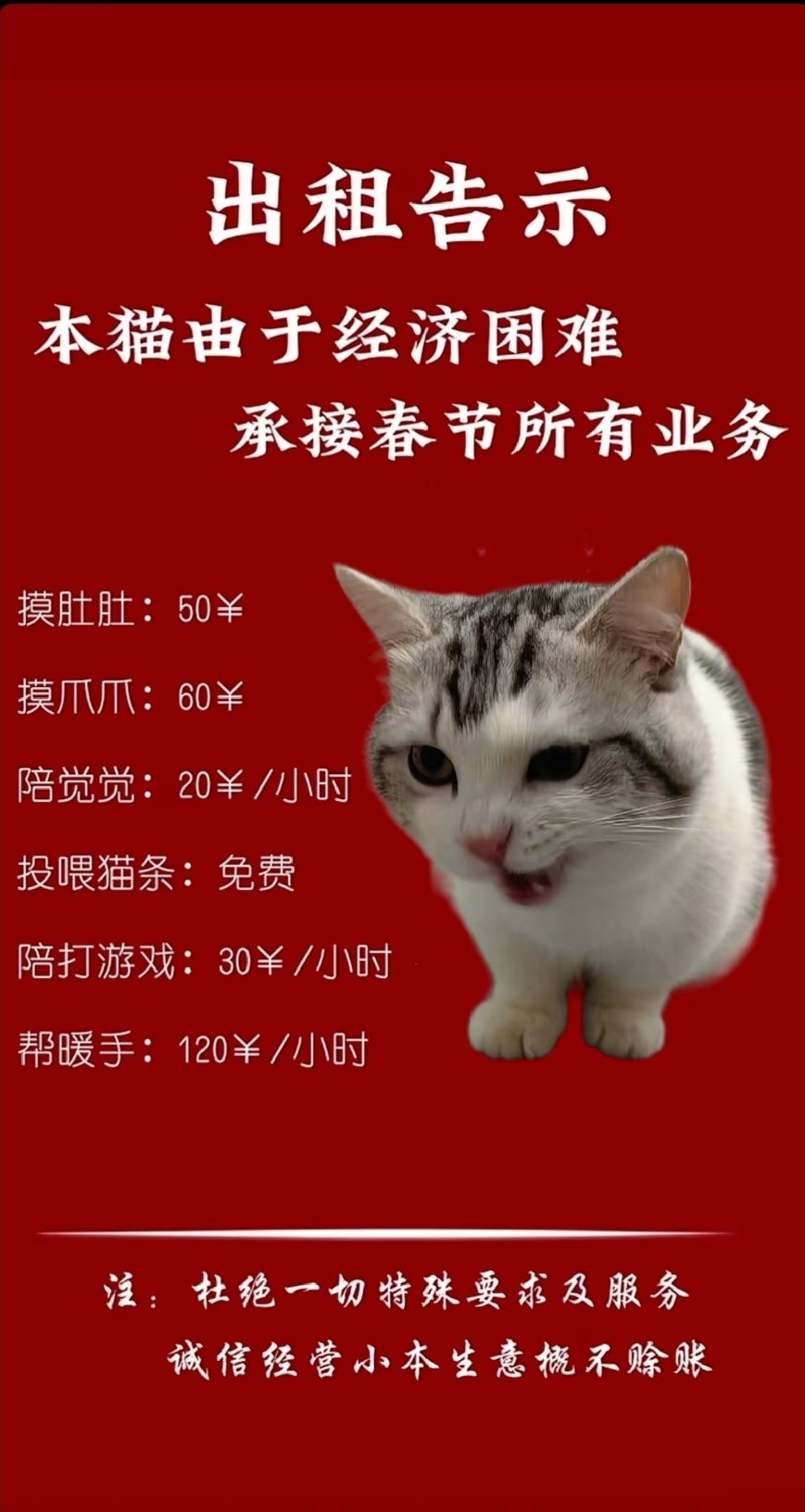 春节出租自己告示猫咪模板高清版